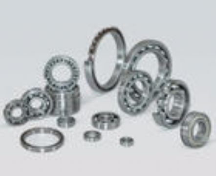 Stainless Steel Bearings